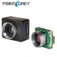 POINT GREY灰点USB高性能相机CM3-U3-13S2M-CS
